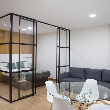 Lejlighed Estudio Corujeira Porto